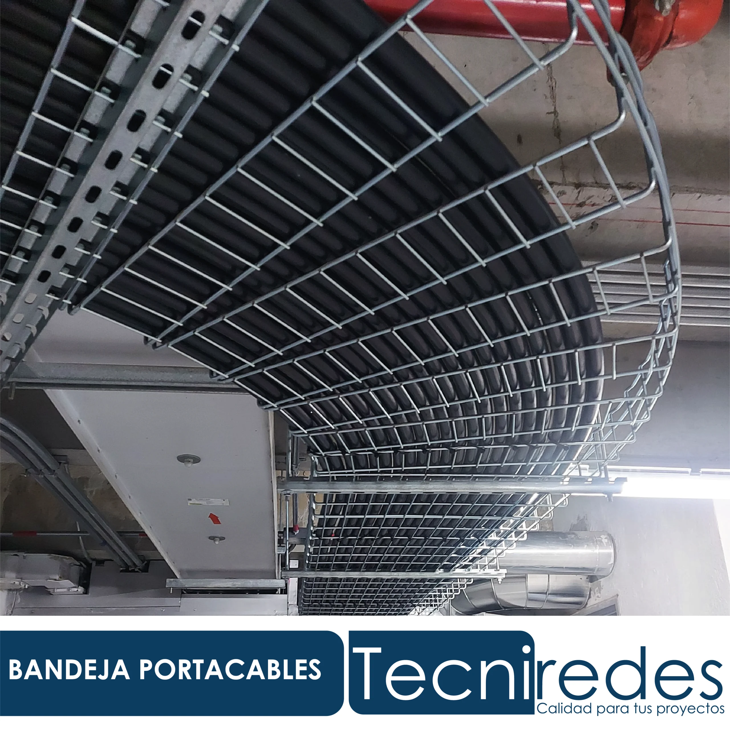 Proyecto Tecniredes 01