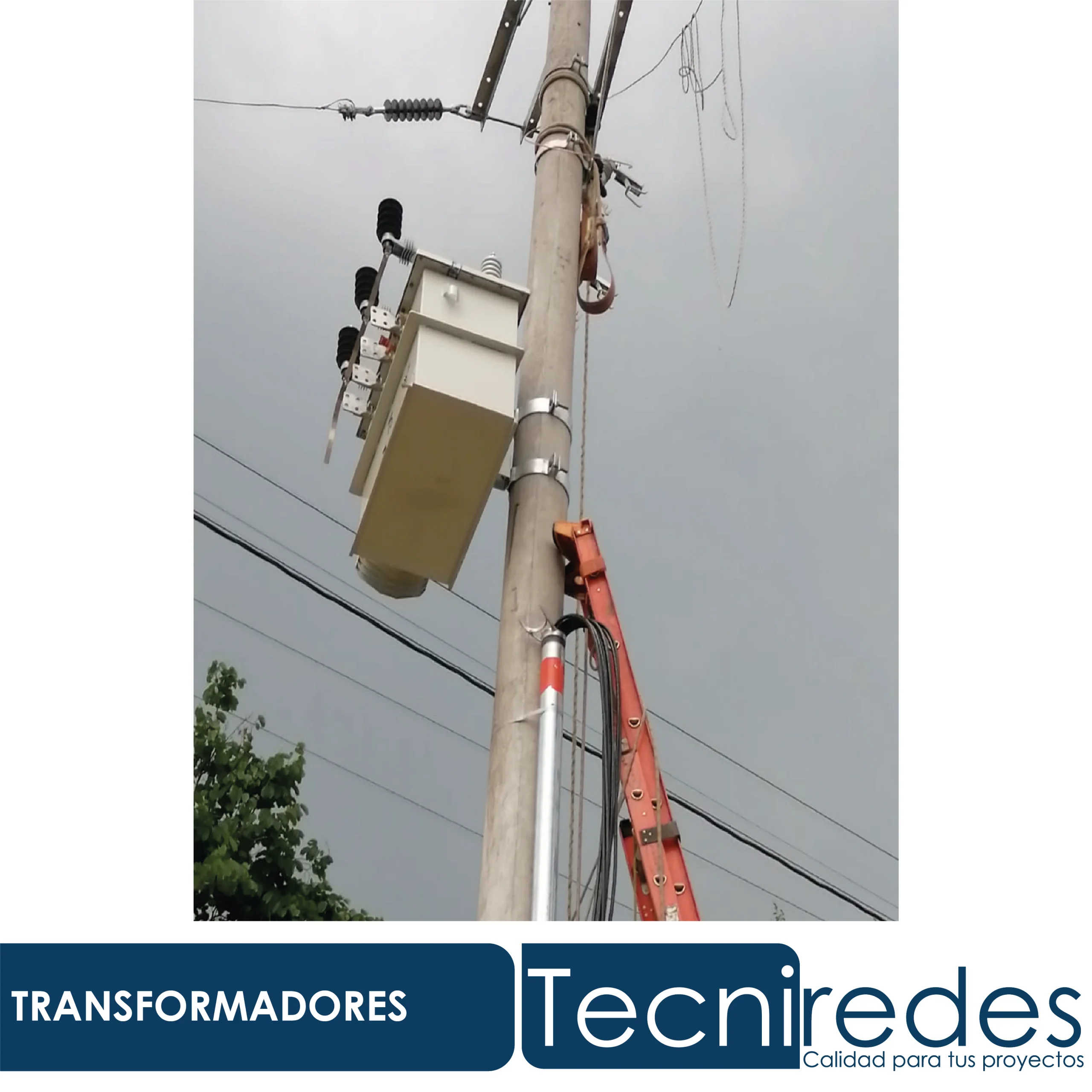 Proyecto Tecniredes 19
