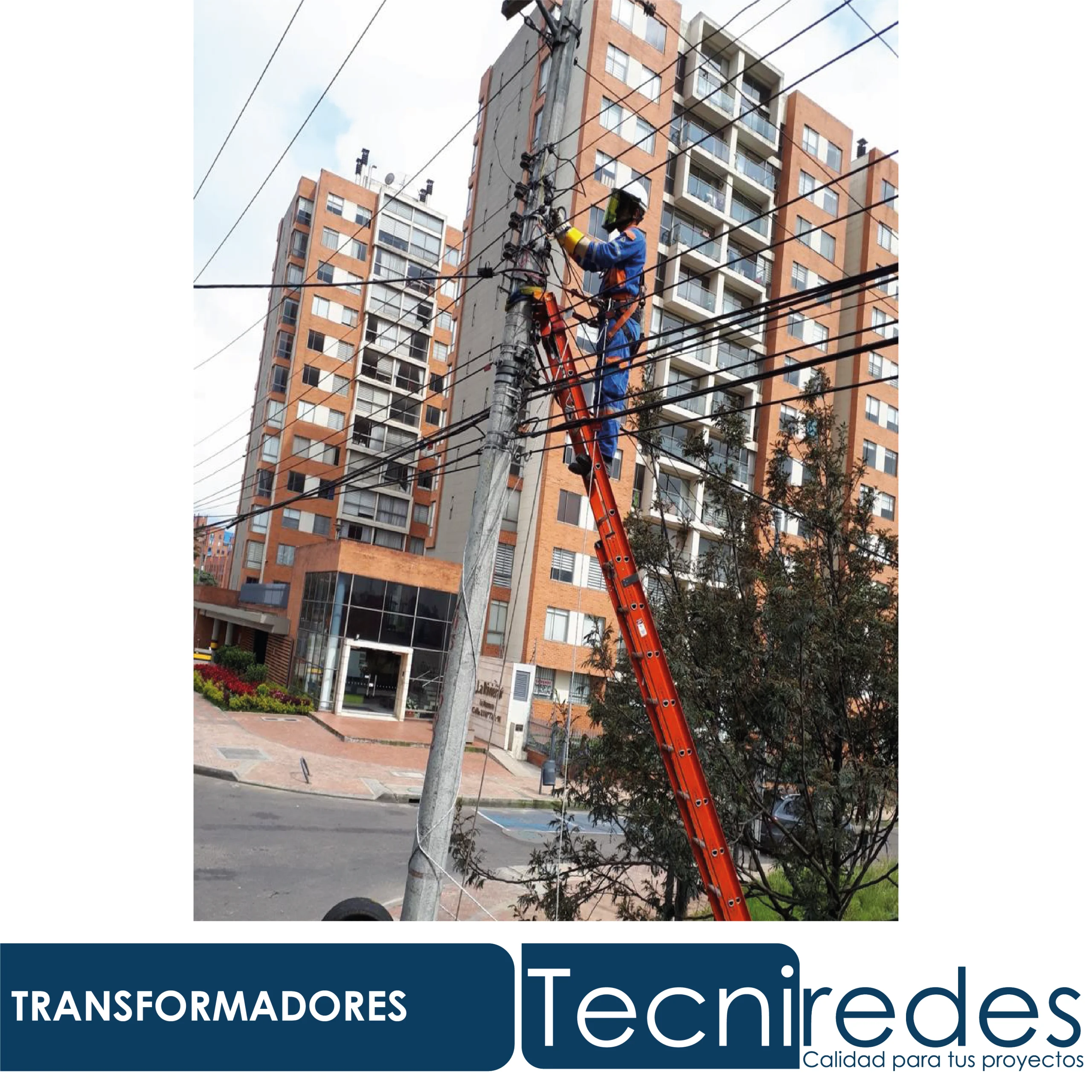 Proyecto Tecniredes 20