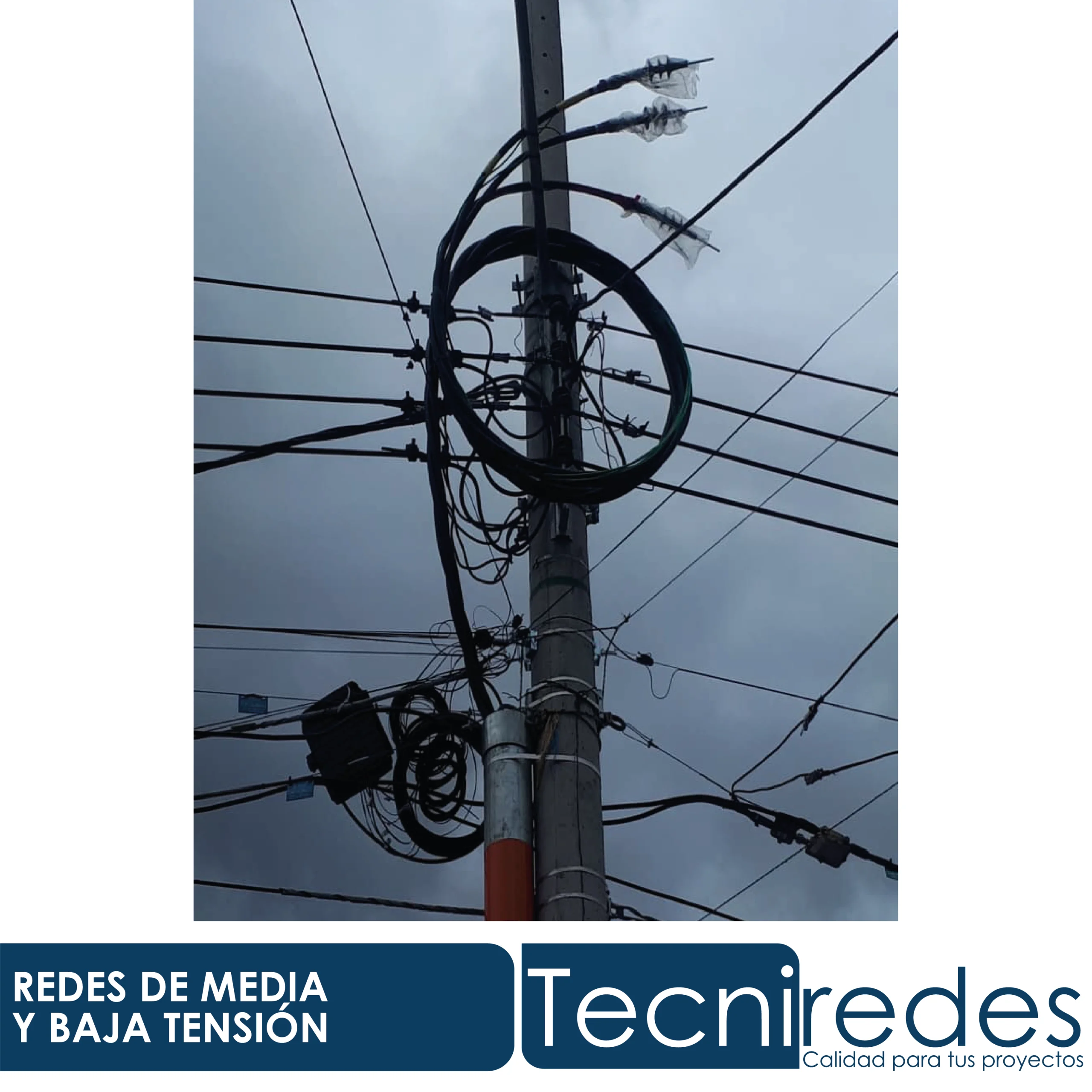 Proyecto Tecniredes 24